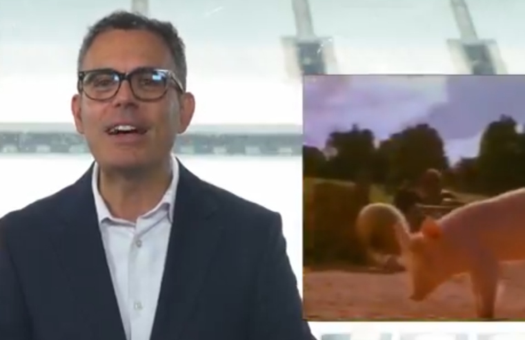 Após título, Corinthians apresenta “telejornal“ e provoca o Palmeiras