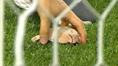 Palmeiras x Corinthians: cabeças de galinha são arremessadas no gramado